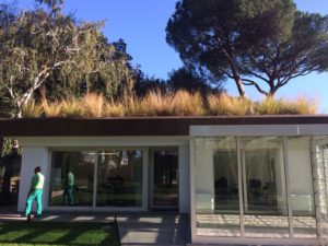 realizzazione-giardino-pensile-roma