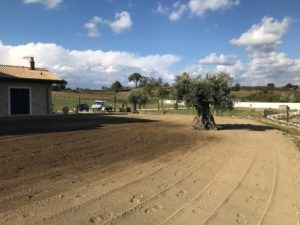 realizzazione-giardini-lago-bolsena