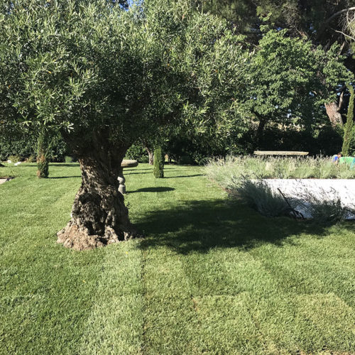 GIARDINO VILLA PRIVATA - Viterbo